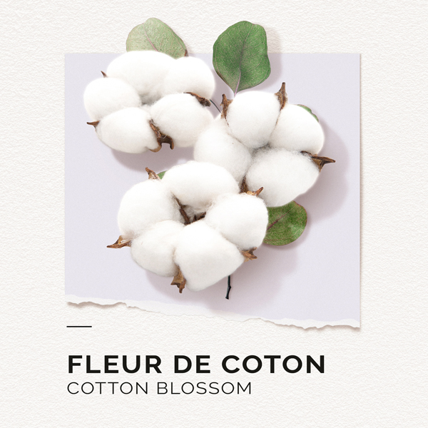 cotton flower eau de parfum
