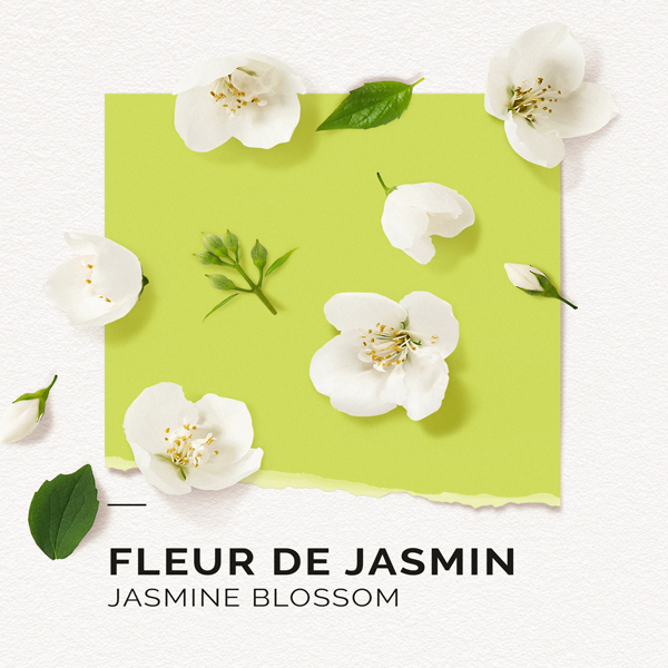 jasmine eau de parfum