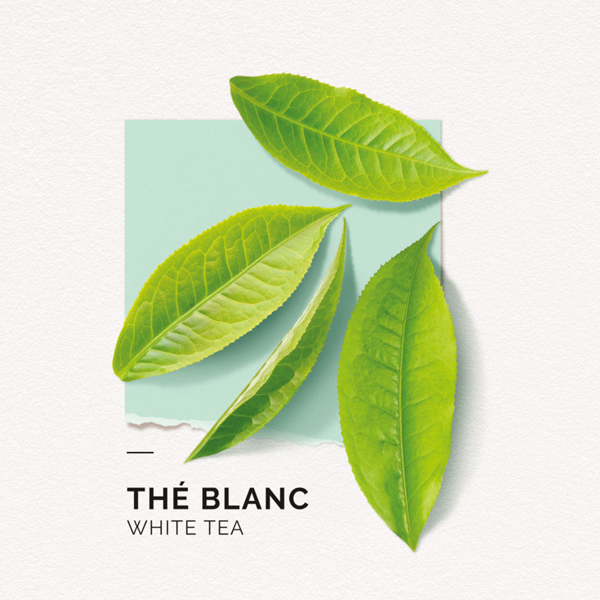 white tea EDP