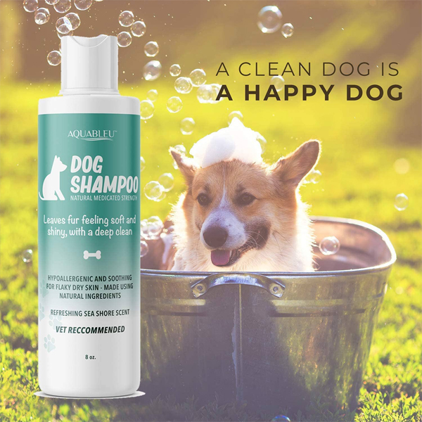 dog shampoo