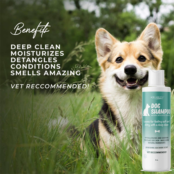 dog shampoo