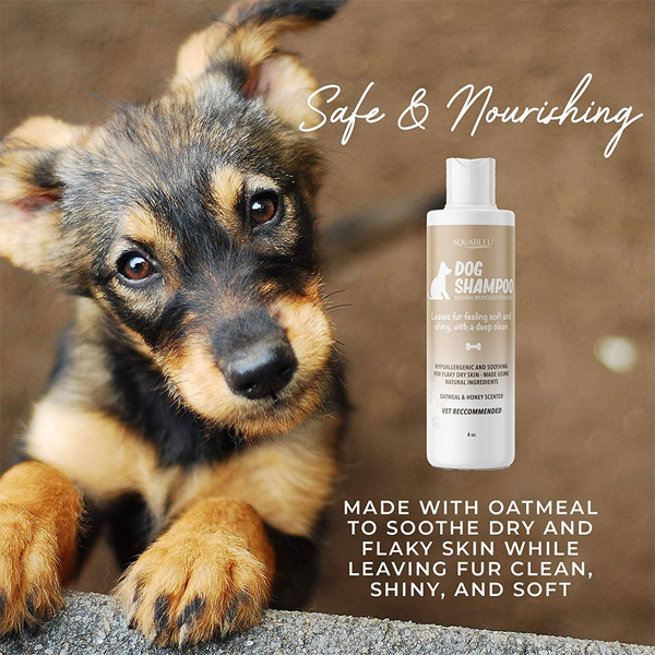 oatmeal dog shampoo