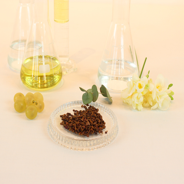 grape Dry Oil