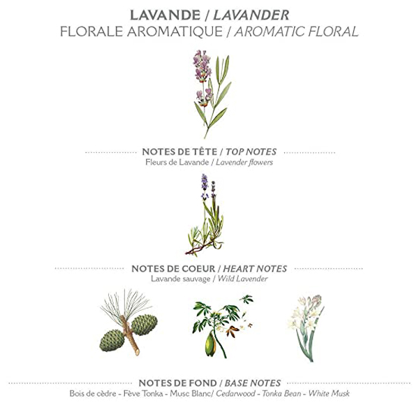 lavender