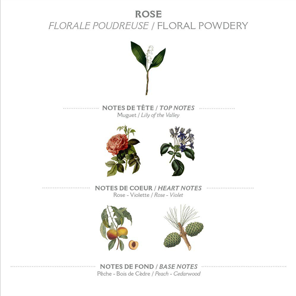 rose