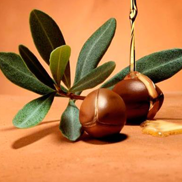 organic argan oil 