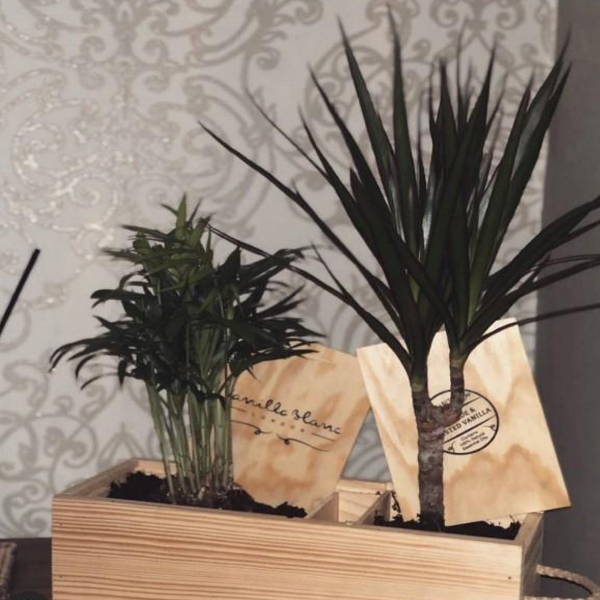 box reuse idea